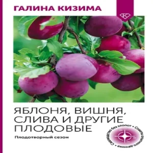0JS1WK6h3TgiZoKsSDMPM6ByEVMNGw2T500_500-1