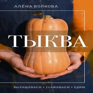 1DrXb46XWTOSULBmySBHWTGBabi3szK9500_500-1