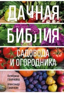 BNbfQ8ZH8LoewO8fP0EXms7rMGaxYdFN500_500-1