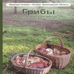 CQKNQooKugNpamBtt4QF5Y6cAvAx4Ml0500_500-1