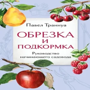 H7P5mlO5mKU8s14oGk1HYa24Fw3x20ZP500_500-1