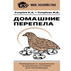P8bMCuCx7Fqd4mbrCO4QjycFq1RUCcsW500_500-1