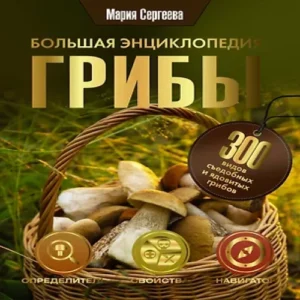 PVKxAnFTaanzIT7np3hH4IAsdIje3jyi500_500-1
