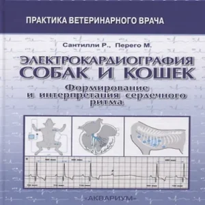 UJu1D675mQnaKWpQOCfoW8h4NEcygseO500_500-1