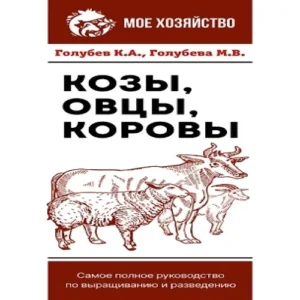 XJ7tKFDzxjEfAr3kXh2OtkHX3hd2gOK1500_500-1