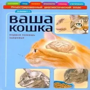 YmlPFUKY83c9GNUkthpvbZwsYbGhzEht500_500-1