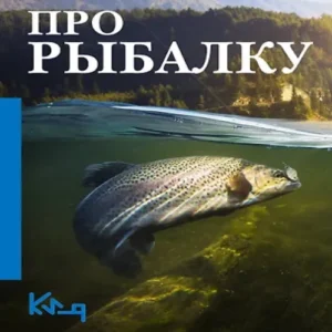 cEugR1cQr3ZRoRSekYcd1zLGvY97Ygh6500_500-1