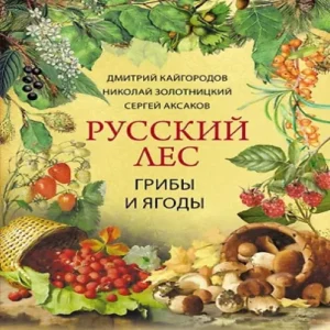 eLE8JpPrgiwLXhOiz8skUOorKuTy9hcj500_500-1