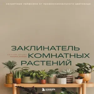 fK5PjpTpwQhYLNQrBzS5AL6UJY72L8nh500_500-1