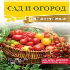 fTGRa9kVjvTIZkaZMhTc3HNAg6TYrZMr500_500-1