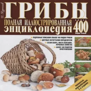 orriqzdW113rel8VM9pDLGqEMbNglNrO500_500-1