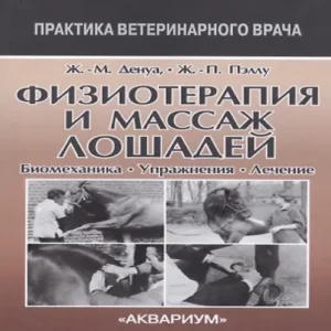 sDVeAsqurWYcqjYEQ4zea5zS51AkW9hA500_500-1