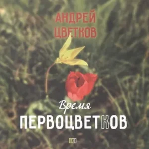 tnHjOvxicQJJ91APZeMNDa4W4uCJtUif500_500-1