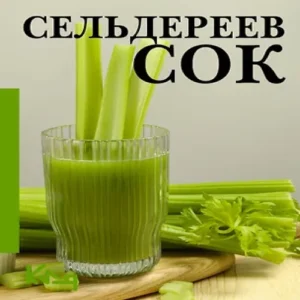 yXL4MJDHk4rzwfVVgjGWG2SQqa1QDz1W500_500-1