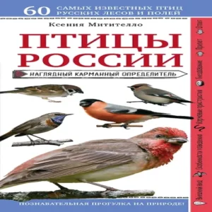 zyL62eYByyhnbI6c0WIQ88vJM8f8Kisv500_500-1