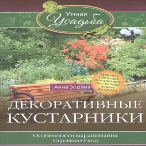 0j5eE0GJlv1IZnAdr2BvPZzLALeWjLVS500_500-1