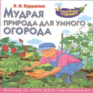 4ahiMQSk8OkQnutJ3ZeZMwMtq40q3uRY500_500-1