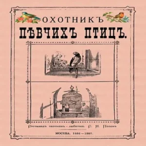Gj3HiVKxrHgMkSWcElhF7TLxf9tSvzEw500_500-1