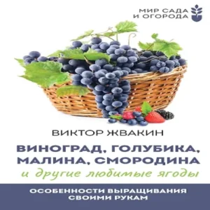 HLOXdyrFEG3btnFg6LQN2yOlGtnWmbxS500_500-1