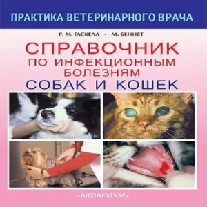 MDhFnpCSoZsSkSCH4qpJ7VsEABH64LGI500_500-1