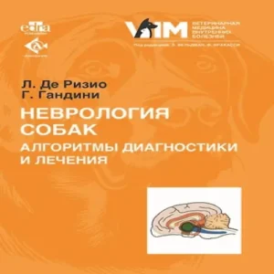 NdQ7pJnkA5aaDbyYmmFu0XxAjAkJVaf0500_500-1