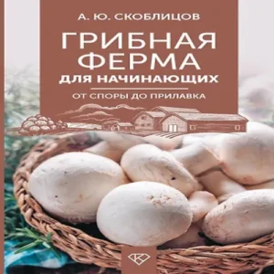 UGEjWt65qtlf3MxiWx7sUdhdGrYRZgMZ500_500-1