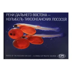bSzXhSwOEsRxKXlqofSLQlhpLsQ6nBSS500_500-1