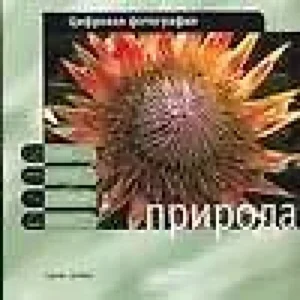 dSQ7X8WPkCffixnNx0AElyYSiwdYptLy500_500-1