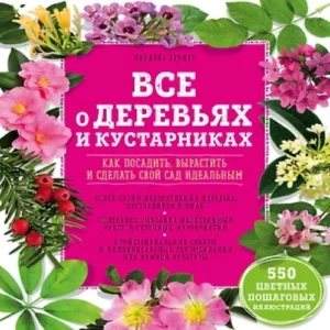 viEpxBkFzTtX2lDfGWRDnJCky4mIs6Ba500_500-1